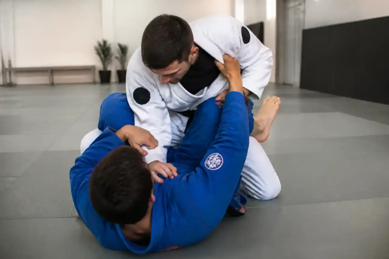 Interface moderne de GrapplingZone présentant des statistiques de passes de garde et des enchaînements techniques